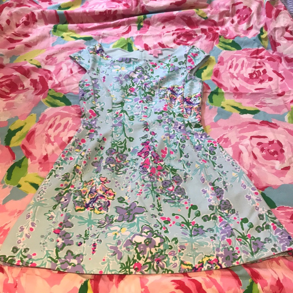 Lilly Pulitzer Southern Charm Brielle dress as XS